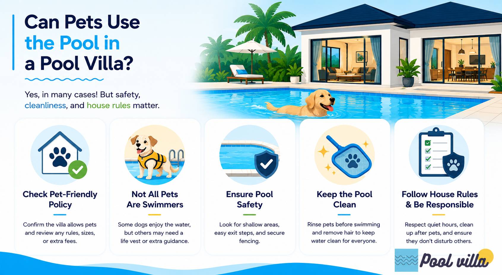 Can Pets Use the Pool in a Pool Villa / can pets use pool in pool villa